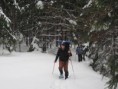 /album/zimni-akce-kynkazu/img-7295-jpg/